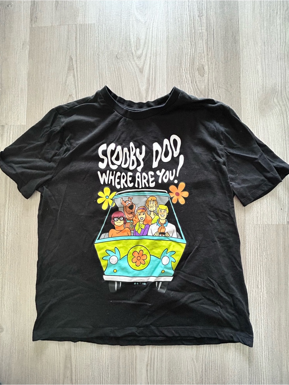 2 for 10$ ☀️ Scooby doo!!! T shirt sz L